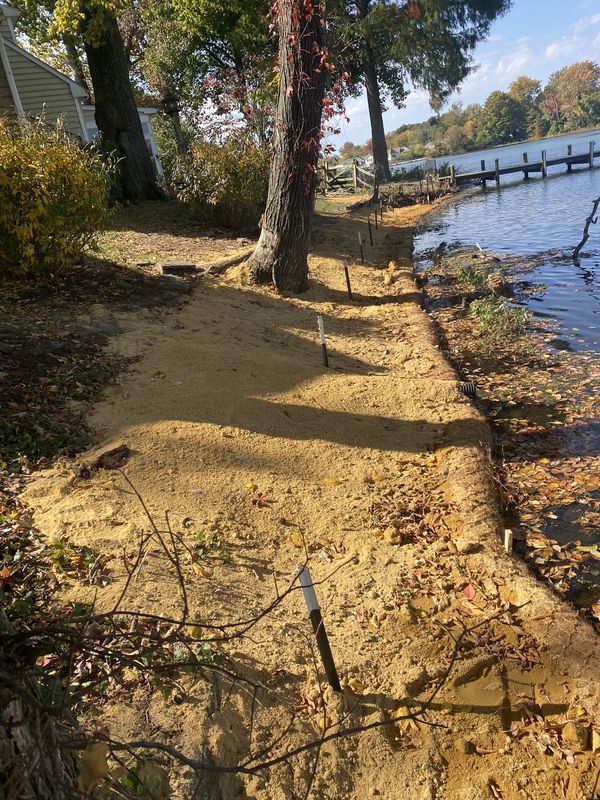 Coir log installed along a graded shoreline