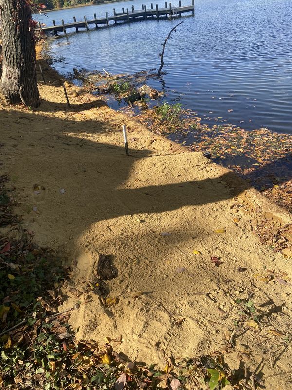 Living shoreline installation along a wooded bank